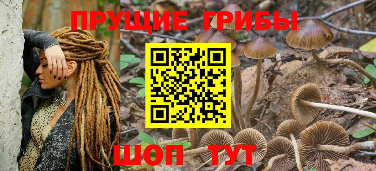 Галлюциногенные грибы мухоморы Можайск