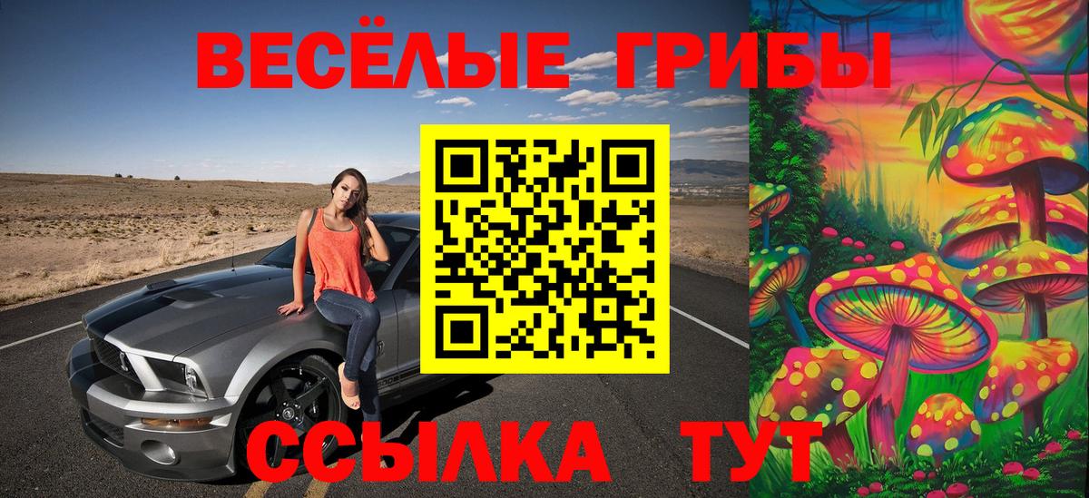 Можайск  Псилоцибиновые грибы Cubensis  Вход с VPN 